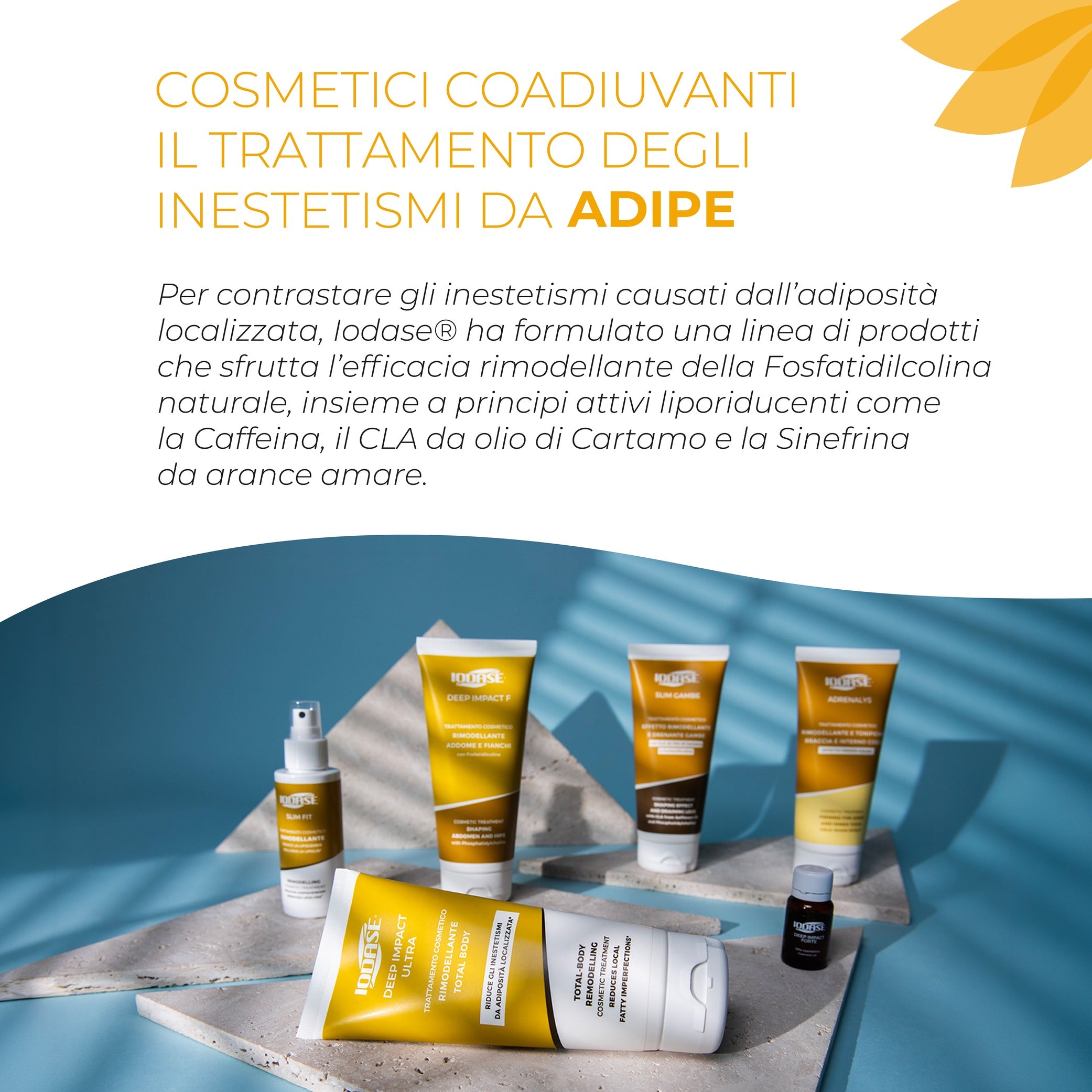 Slimming and draining leg cream